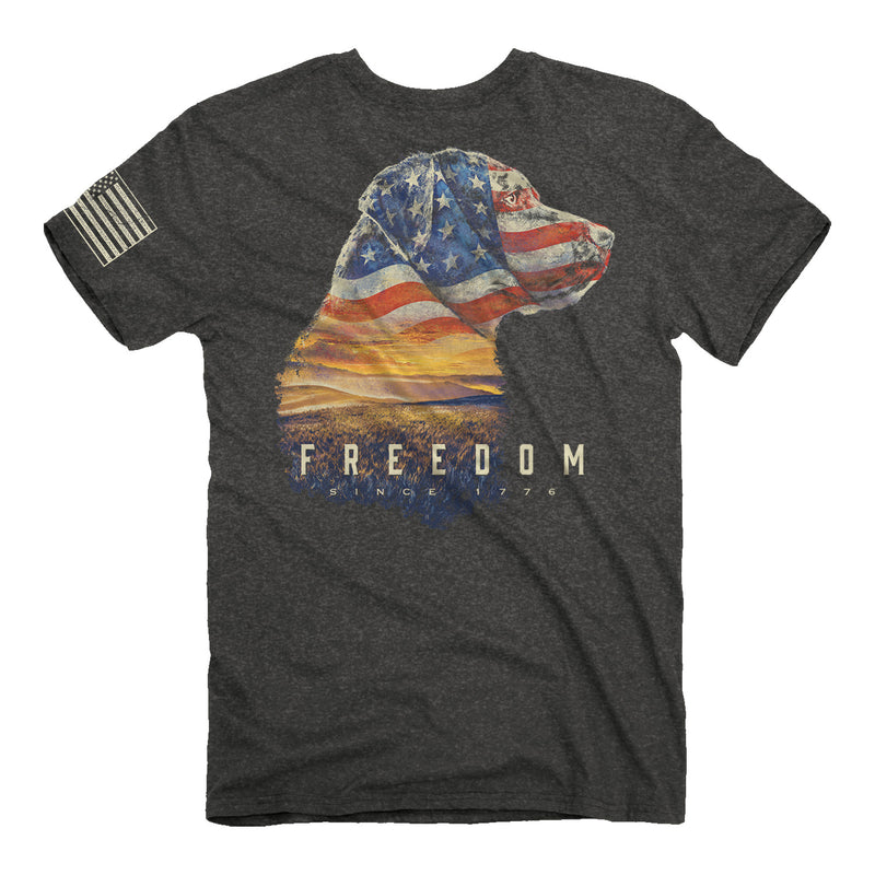 Freedom Lab